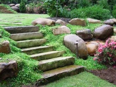 Сад в природном стиле  
Сад в природном стиле