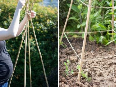 Парник из подручных материалов своими руками Парник из подручных материалов своими руками