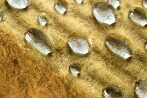 Подшивной потолок в бане