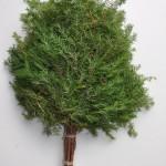 Как правильно сушить веники для бани Как правильно сушить веники для бани