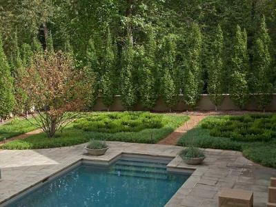 Дизайн садового участка  
Дизайн садового участка