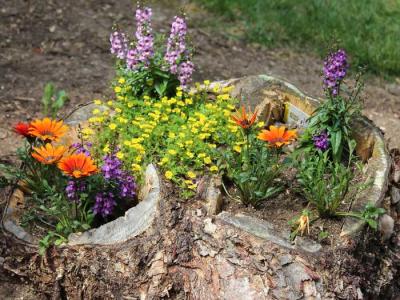 Рутарий своими руками
Рутарий своими руками