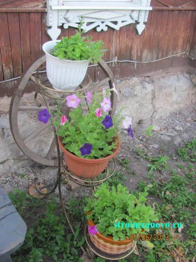 Цветы в саду  
Цветы в саду