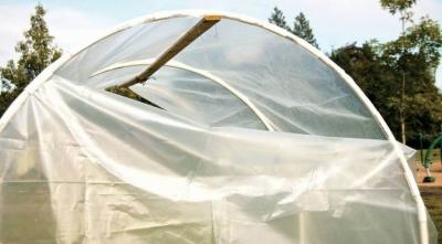 Парники своими руками: проекты и материалы для строительства
