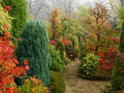 Сад в природном стиле  
Сад в природном стиле