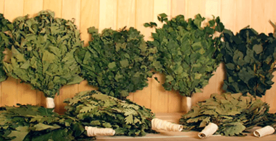 Заготовка веников для бани Заготовка веников для бани