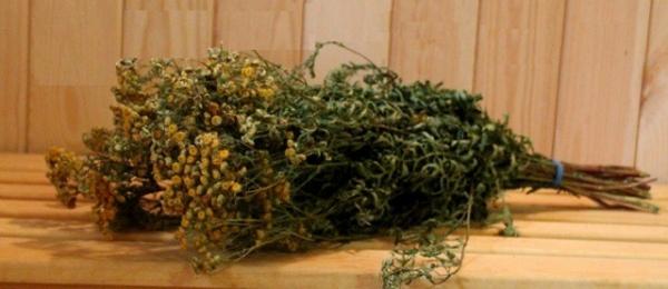 Какие бывают веники для бани Какие бывают веники для бани