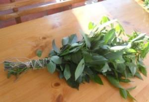 Как правильно париться в русской бане Как правильно париться в русской бане