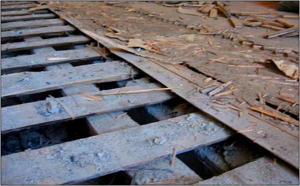 Как устранить скрип деревянного пола Как устранить скрип деревянного пола