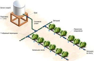 Капельный полив своими руками для дачи