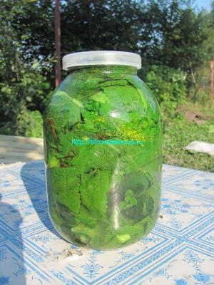  
Рецепты маринованных огурцов