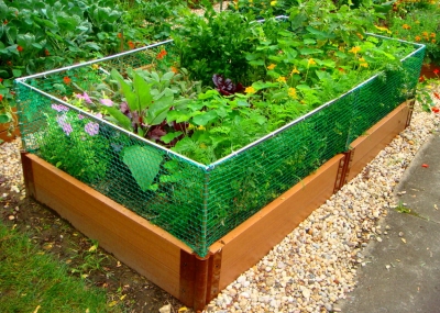 Грядки из пластиковой доски + фото Грядки из пластиковой доски + фото