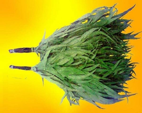 Как правильно париться в бане для здоровья Как правильно париться в бане для здоровья