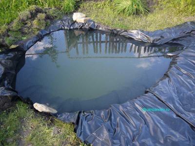 Пруд на даче  
Пруд на даче