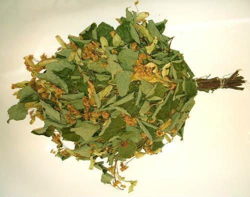 Как правильно париться в русской бане Как правильно париться в русской бане