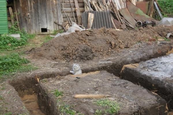 Проект бани 4 на 4 с верандой Проект бани 4 на 4 с верандой