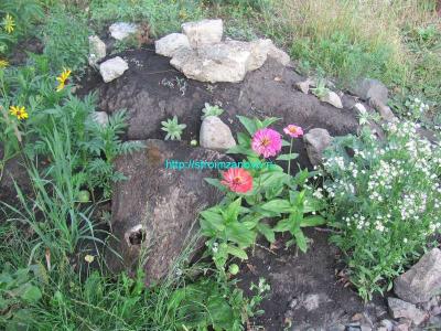 Альпийская горка своими руками  
Альпийская горка своими руками