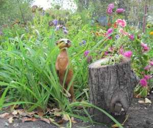 Дизайн дачного участка  
Дизайн дачного участка