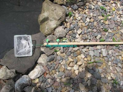 Как сделать пруд на даче  
Как сделать пруд на даче