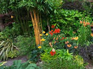 Сад в природном стиле  
Сад в природном стиле