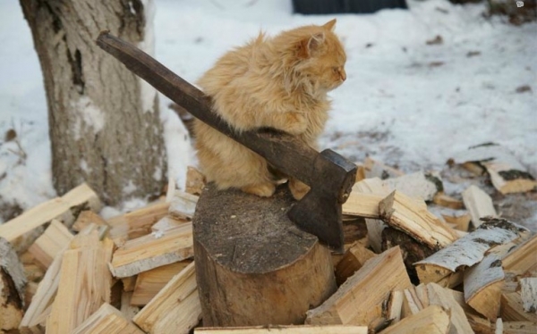 Как правильно топить баню Как правильно топить баню