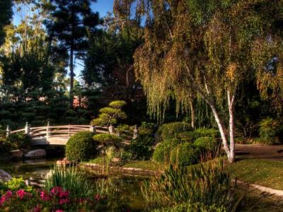 Сад в природном стиле  
Сад в природном стиле