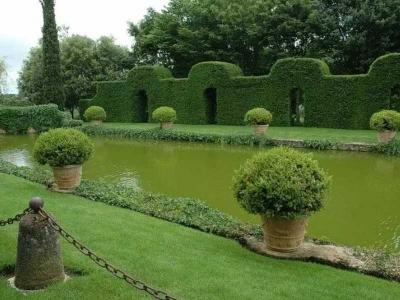 Топиари – искусство фигурной стрижки растений  
Топиари – искусство фигурной стрижки растений