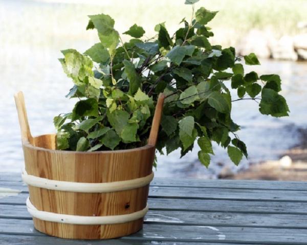 Какие бывают веники для бани Какие бывают веники для бани