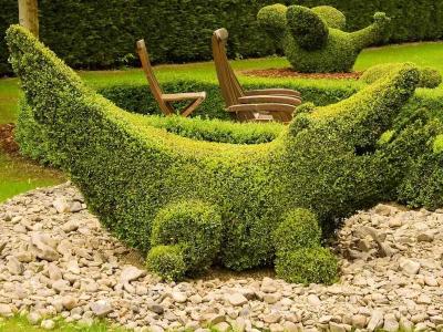 Топиари – искусство фигурной стрижки растений  
Топиари – искусство фигурной стрижки растений