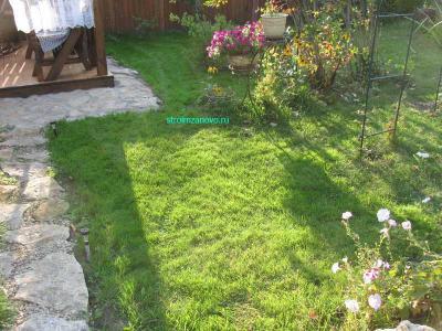 Газон своими руками  
Газон своими руками
