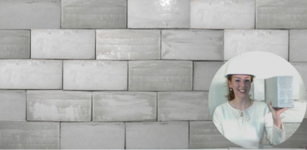 Перегородка в бане между парилкой и мойкой