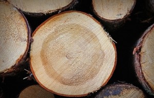 Как правильно топить баню Как правильно топить баню