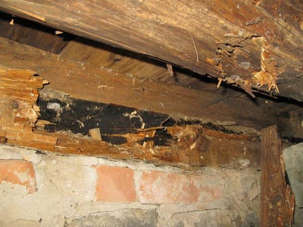 Ремонт фундамента своими руками Ремонт фундамента своими руками