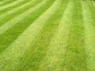 Устройство газона  
Устройство газона