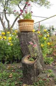 Дизайн дачного участка  
Дизайн дачного участка