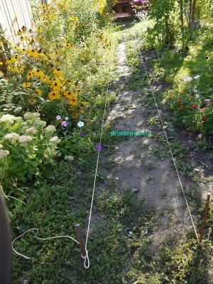 Дорожка из камня  
Дорожка из камня