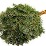 Как правильно сушить веники для бани Как правильно сушить веники для бани