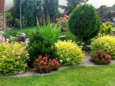 Дизайн садового участка  
Дизайн садового участка