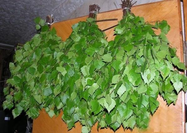 Какие бывают веники для бани Какие бывают веники для бани