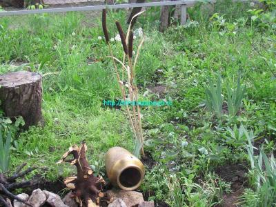 Как сделать пруд на даче  
Как сделать пруд на даче