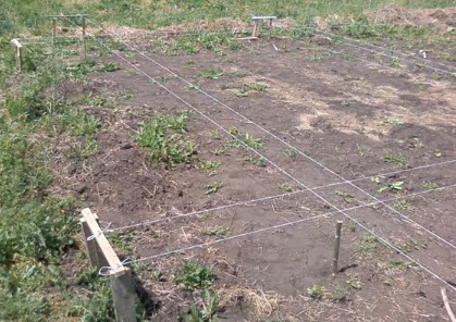 Ленточный фундамент своими руками Ленточный фундамент своими руками