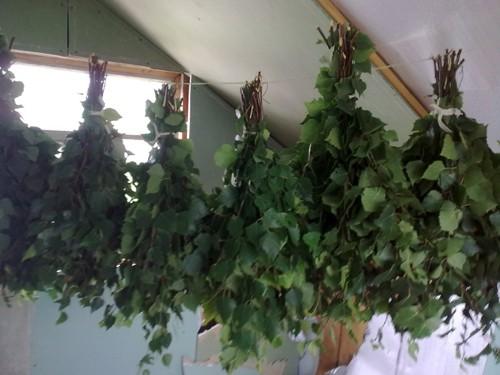 Как правильно сушить веники для бани Как правильно сушить веники для бани