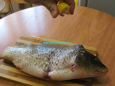 Запечённый карп, фаршированный гречневой кашей  
Запечённый карп, фаршированный гречневой кашей