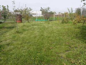 Газон своими руками  
Газон своими руками