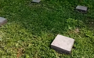 Беседки для дачи своими руками простые: стальные, деревянные, каменные Беседки для дачи своими руками простые: стальные, деревянные, каменные