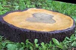 Отвод воды от фундамента дома: делаем отвод воды своими руками с фото инструкциями Отвод воды от фундамента дома: делаем отвод воды своими руками с фото инструкциями