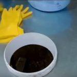 Выращивание грибов в домашних условиях: главные особенности и инструкция для новичков