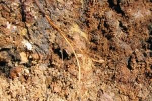 Какой фундамент выбрать для дома из бруса: типы  и рекомендации, какой фундамент дома выбрать Какой фундамент выбрать для дома из бруса: типы  и рекомендации, какой фундамент дома выбрать