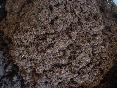 Пересадка комнатных растений — главные правила Пересадка комнатных растений — главные правила