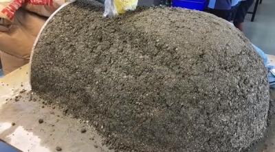 Строим помпейскую печь для пиццы своими руками: пошаговая инструкция Строим помпейскую печь для пиццы своими руками: пошаговая инструкция